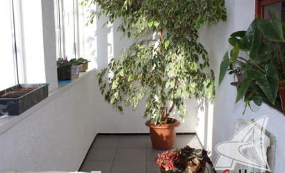 Купить дом, Брест, Аэропорт ст., 12 соток. Фото 27