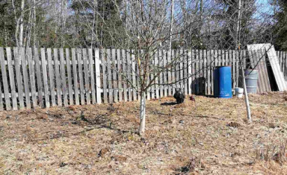 Купить участок, Шилино, С/т Шилино, 10 соток. Фото 6