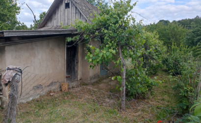 Купить дачу, Топилишки, СТ Раница, Лядский сельсовет, Щучинский район, Гродненская область, 6.09 соток. Фото 10