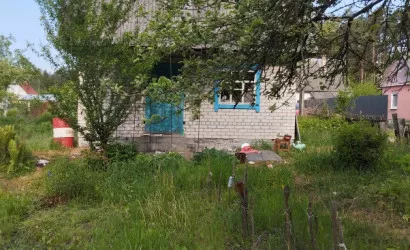  1-этаж.(55 м2), Микашевичи(Альбатрос, 1)