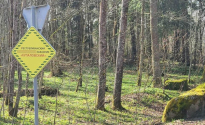 Купить участок, ЧАРОВНИЦА, 6.95 соток. Фото 5