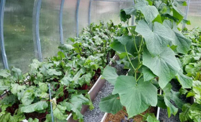 Купить дом, Лозово, 18 соток. Фото 24