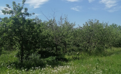 Купить дом в деревне, Барсуки, Молодёжная 24, 17 соток. Фото 4