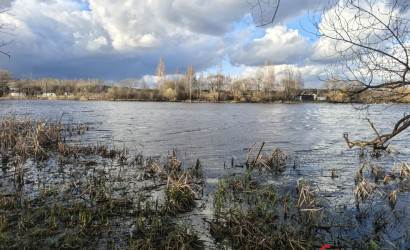 Купить дом, Большая Ганута, Первомайская, 27, 20 соток. Фото 11