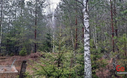 Купить дом в деревне, Надежда, 11 соток. Фото 11