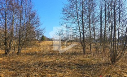 Купить дом, Старое Село, Центральная ул., 60 соток. Фото 15