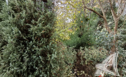 Купить дачу, Брест, Чернавчицкий с/с, 10.49 соток. Фото 33