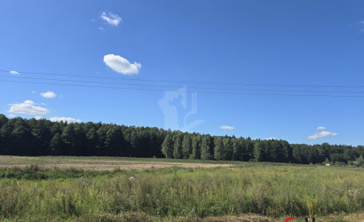 Купить участок, Дубрава, 4.44 соток. Фото 12