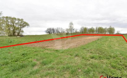 Купить участок, Василевщина, 14 соток. Фото 4