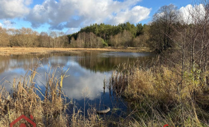 Купить участок, Приселки, 25 соток. Фото 31