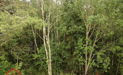 Купить участок, Мончаки, Лесная, 15 соток. Фото 10