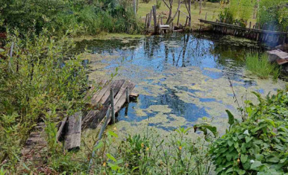 Купить дачу, Краево, 10.5 соток. Фото 12