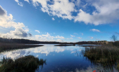 Купить дом, Зеленый Бор, Заводская ул., 21, 10.65 соток. Фото 10