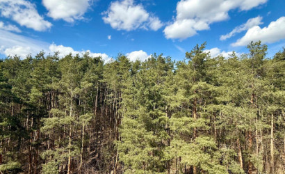 Купить 2-комнатную квартиру, Минск, Мирошниченко ул., 31(Советский район). Фото 13