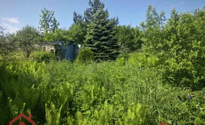  Поляна