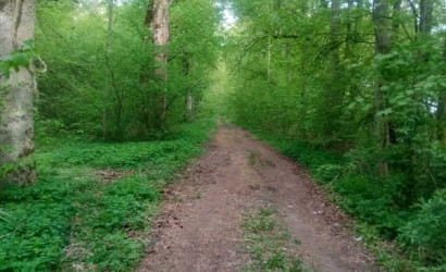 Снять на сутки дом, Альба, Полевая 6. Фото 4