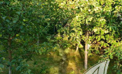 Купить дом, Брест, Тельминский с/с, 4.99 соток. Фото 18