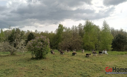 Купить участок, Селезни, Озёрная, 14, 15 соток. Фото 5