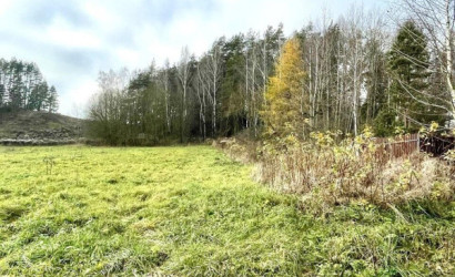 Купить участок, Задомля, 31 соток. Фото 3