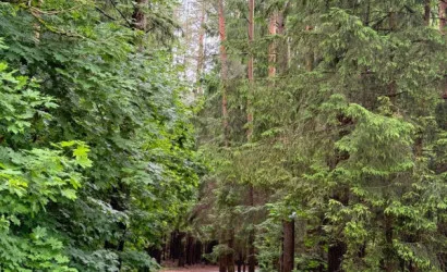  2-этаж.(41.9 м2), Здоровье-67