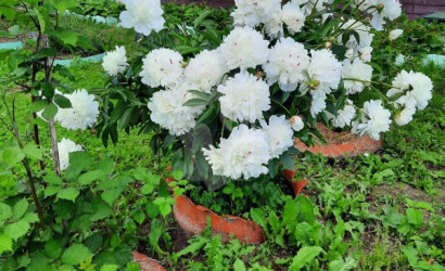 Купить дом, Петришки, 18 соток. Фото 24