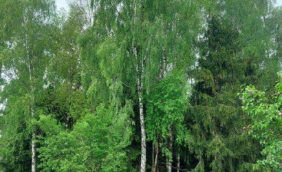 Купить дом в деревне, Узборье, 6.58 соток. Фото 7
