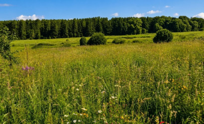 Купить участок, Чирвоная Заря, Центральная, 36 соток. Фото 1