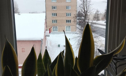 Купить 1-комнатную квартиру, Витебск, Гагарина ул.. Фото 3