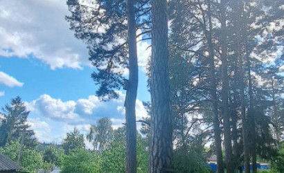 Купить дом, Витебск, Дачная, 18.25 соток. Фото 12