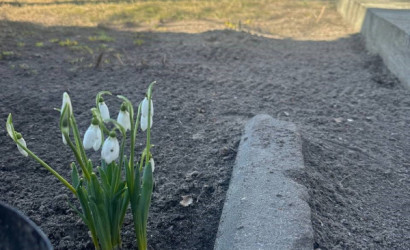 Купить дом, Поколюбичи, Луговая, 12.35 соток. Фото 9