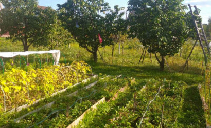 Купить участок, СВЯЗИСТ-92, 8.03 соток. Фото 1