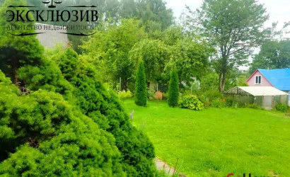  123.6 м2, Березовая роща