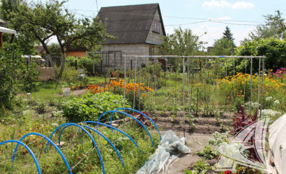 Купить дачу, Брест, Знаменский с/с, 5.94 соток. Фото 5