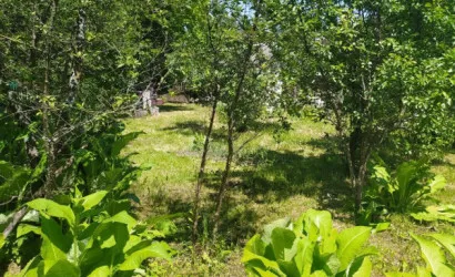  1-этаж.(55 м2), Головные Ляды(Центральная 52)