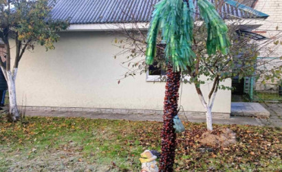 Купить дом в деревне, Журавинка-84, 5 соток. Фото 23