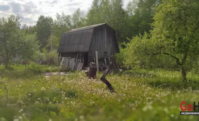 1-этаж.(24 м2), Утро