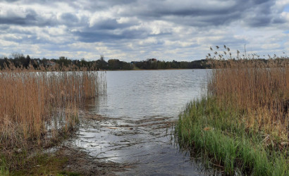 Купить дом, Вороничи, Центральная ул., 9 соток. Фото 4