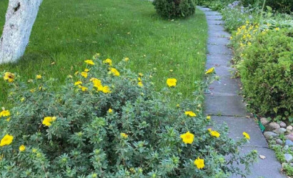 Купить дом в деревне, Лувр, 10.13 соток. Фото 18