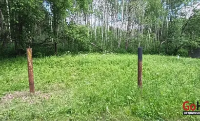  Олехновичи