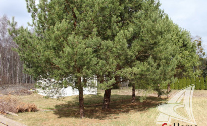 Купить дом, Мухавец, Мухавецкий с/с, 15.81 соток. Фото 8