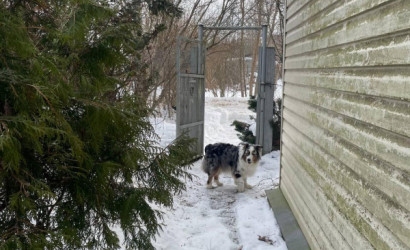 Купить дом, Витебск, Зеленая ул., 15, 5 соток. Фото 3