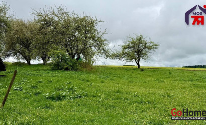 Купить дом, Доры, Белорусская ул., 24 соток. Фото 10