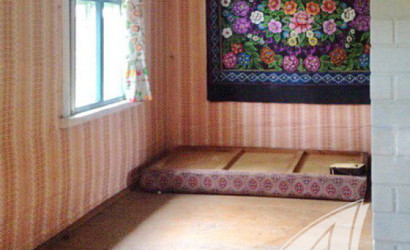 Купить дом в деревне, Рожковка, Дмитровичский с/с, 25 соток. Фото 5