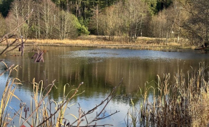 Купить участок, Приселки, 25 соток. Фото 22