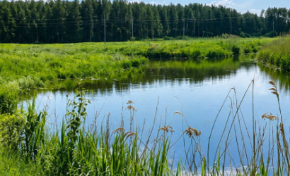Купить дом, Мрочки, ул. Центральная, д. 8, 17.8 соток. Фото 18
