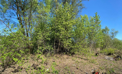 Купить участок, Дорожник ДСТ-2, 14.8 соток. Фото 3