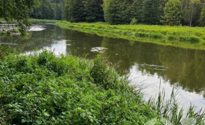 Купить дом, Пильцы, 24 соток. Фото 11