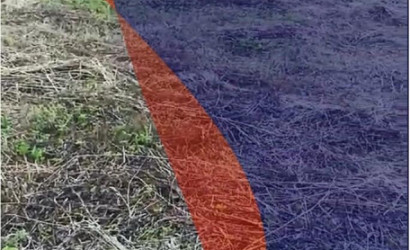 Купить участок, ЛЕСНОЕ-90, 8.05 соток. Фото 1