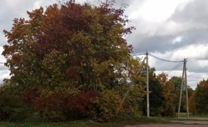 Купить 2-комнатную квартиру, Бояры, Черняховского, 4. Фото 11