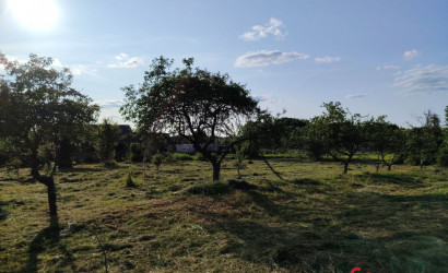 Купить участок, Чемери 1, Вишнёвая ул, 27, деревня Чемери 1, Речицкий сельсовет, Каменецкий район, Брестская область, 50 соток. Фото 5